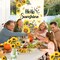 Hello Sunshine Floral Welcome Door Cover, Bicycle with Sunflower Banner. Watercolor Butterfly and Lemon Decorative for Front Door Holiday Spring and Summer Party Indoor and Outdoor